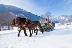Romantische Kutschenfahrt durch die Alpen